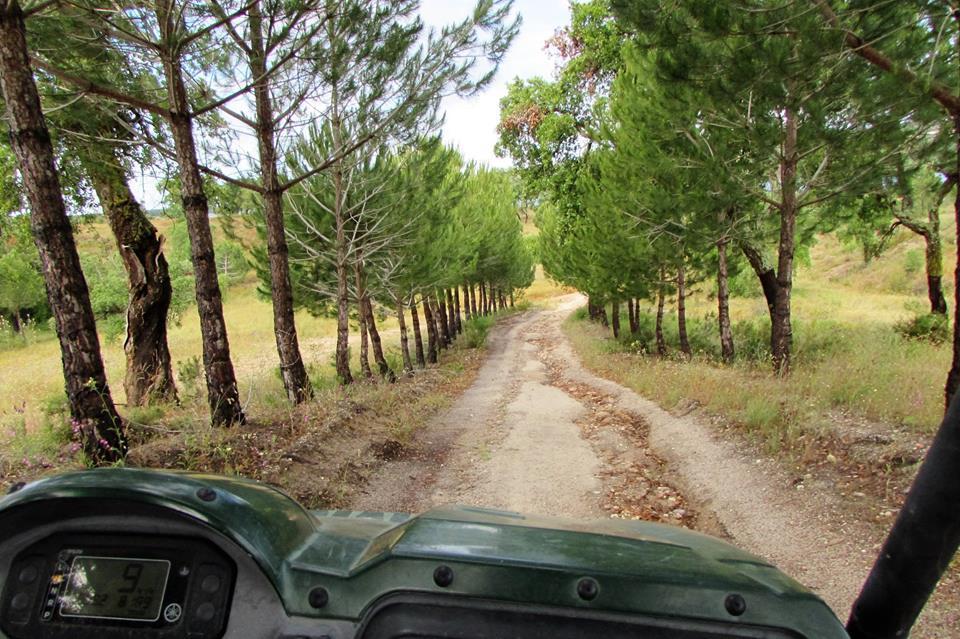 Гостьовий будинок Monte Da Tojeirinha Монтаржил Екстер'єр фото