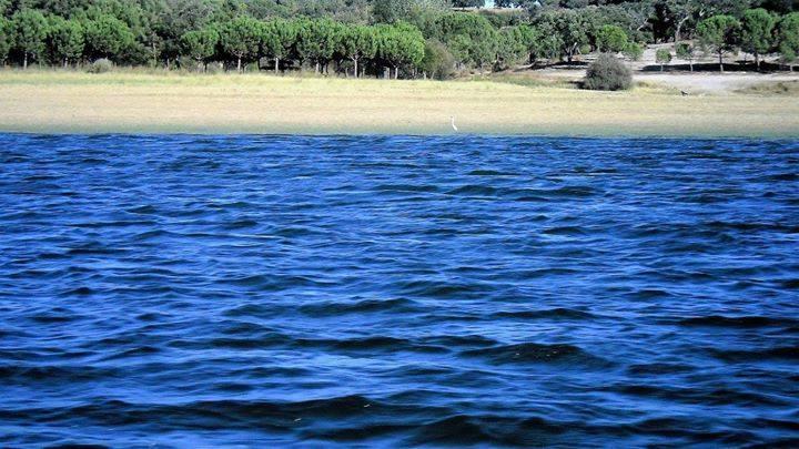 Гостьовий будинок Monte Da Tojeirinha Монтаржил Екстер'єр фото